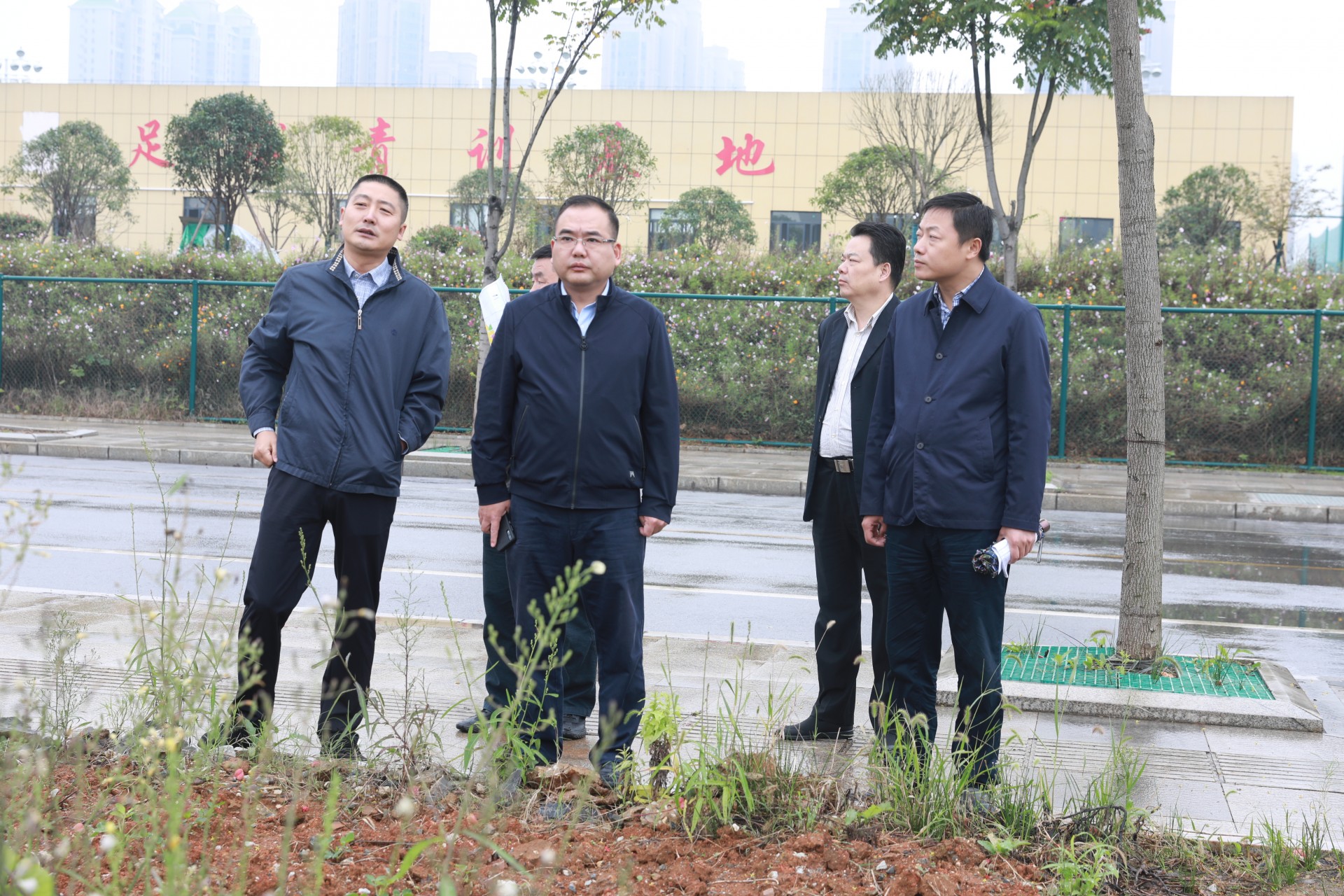 市领导刘会金,王晓燕,张林参加调研.