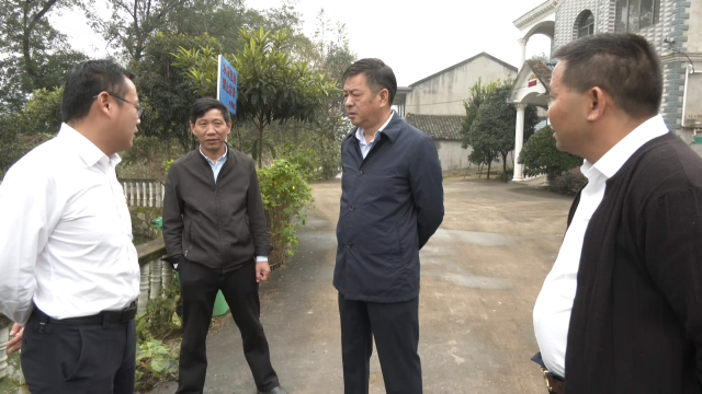 江龙平实地督查农村人居环境整治工作细化工作举措攻坚难点重点按期