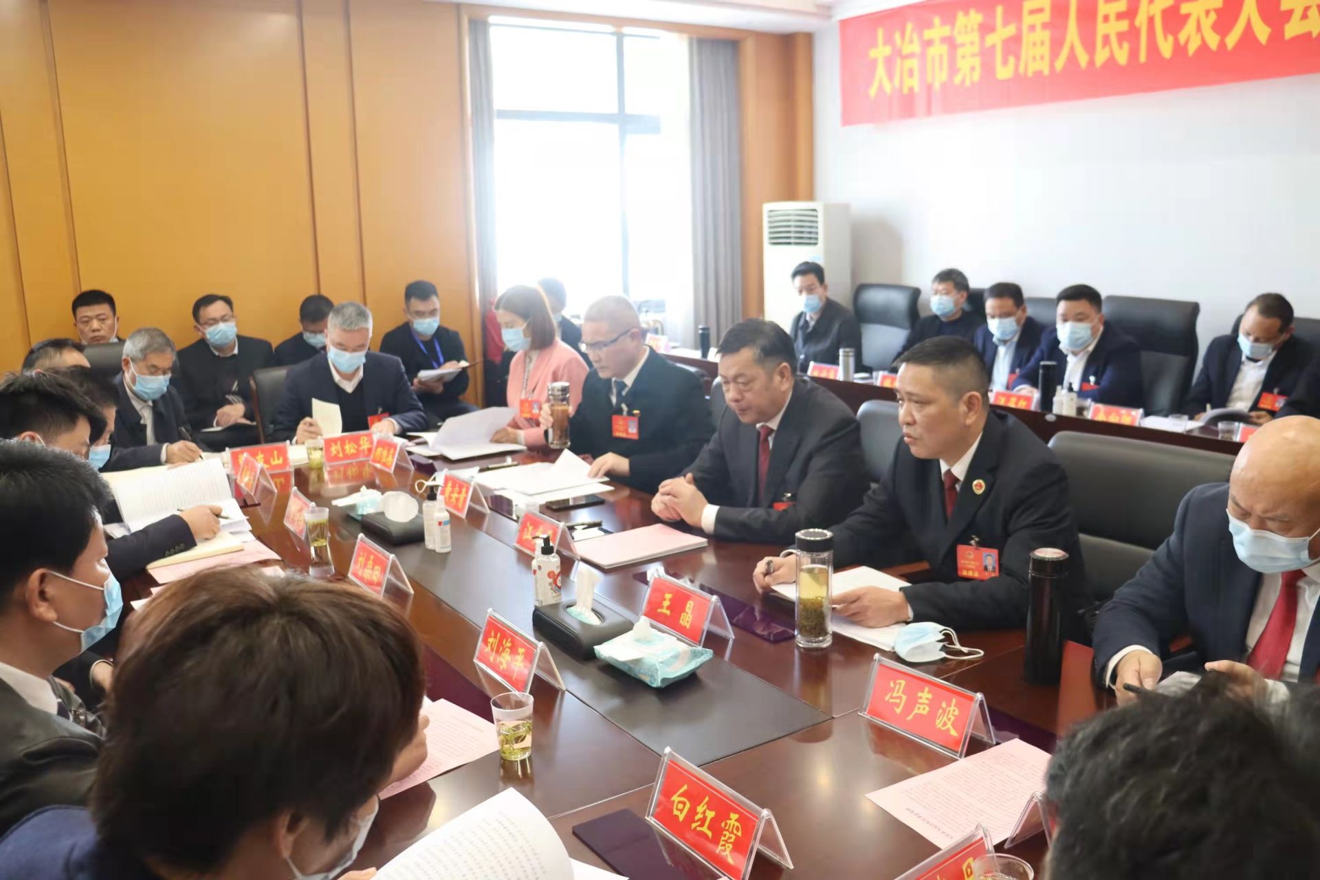 江龙平参加金湖代表团审议-湖北省黄石市大冶市